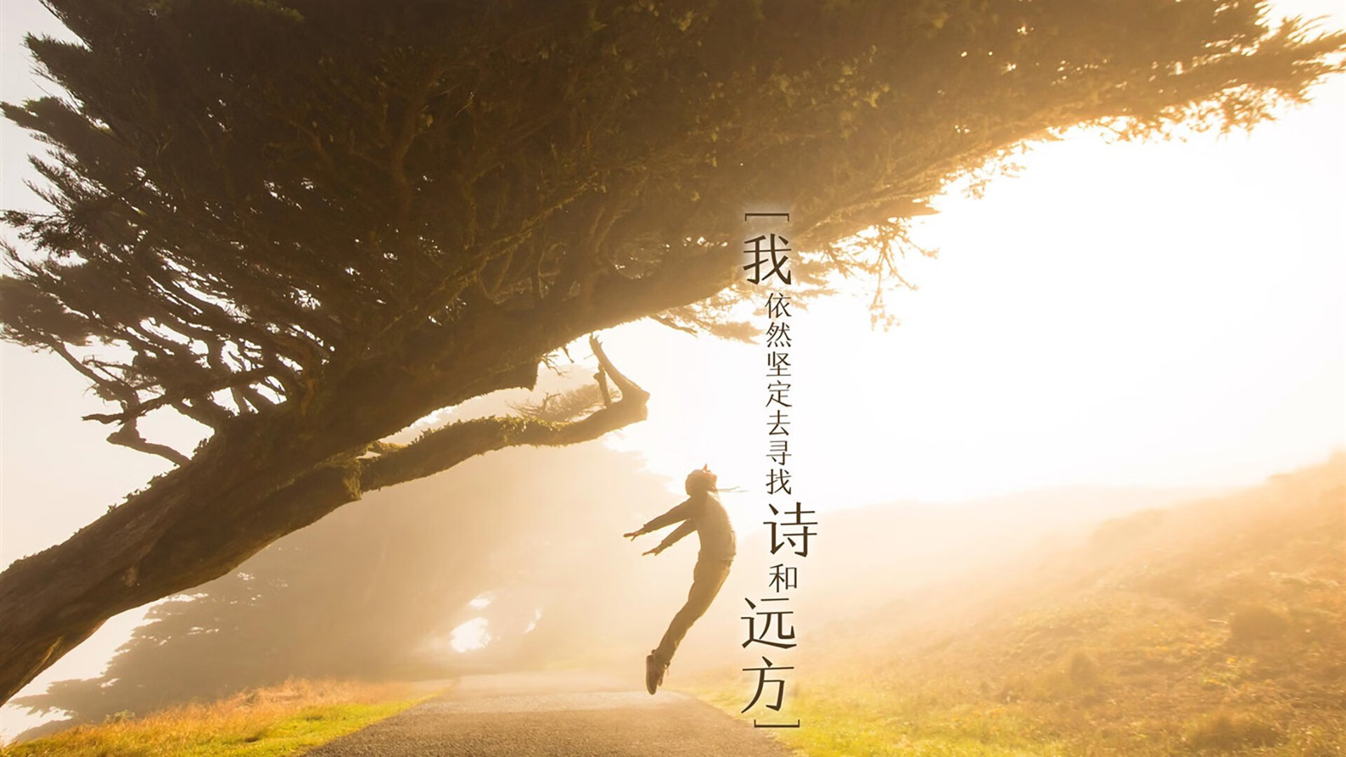 九游官网下载电脑版-“本周最热战役：快船逆转雷霆，球迷沸腾”，快船又要逆转