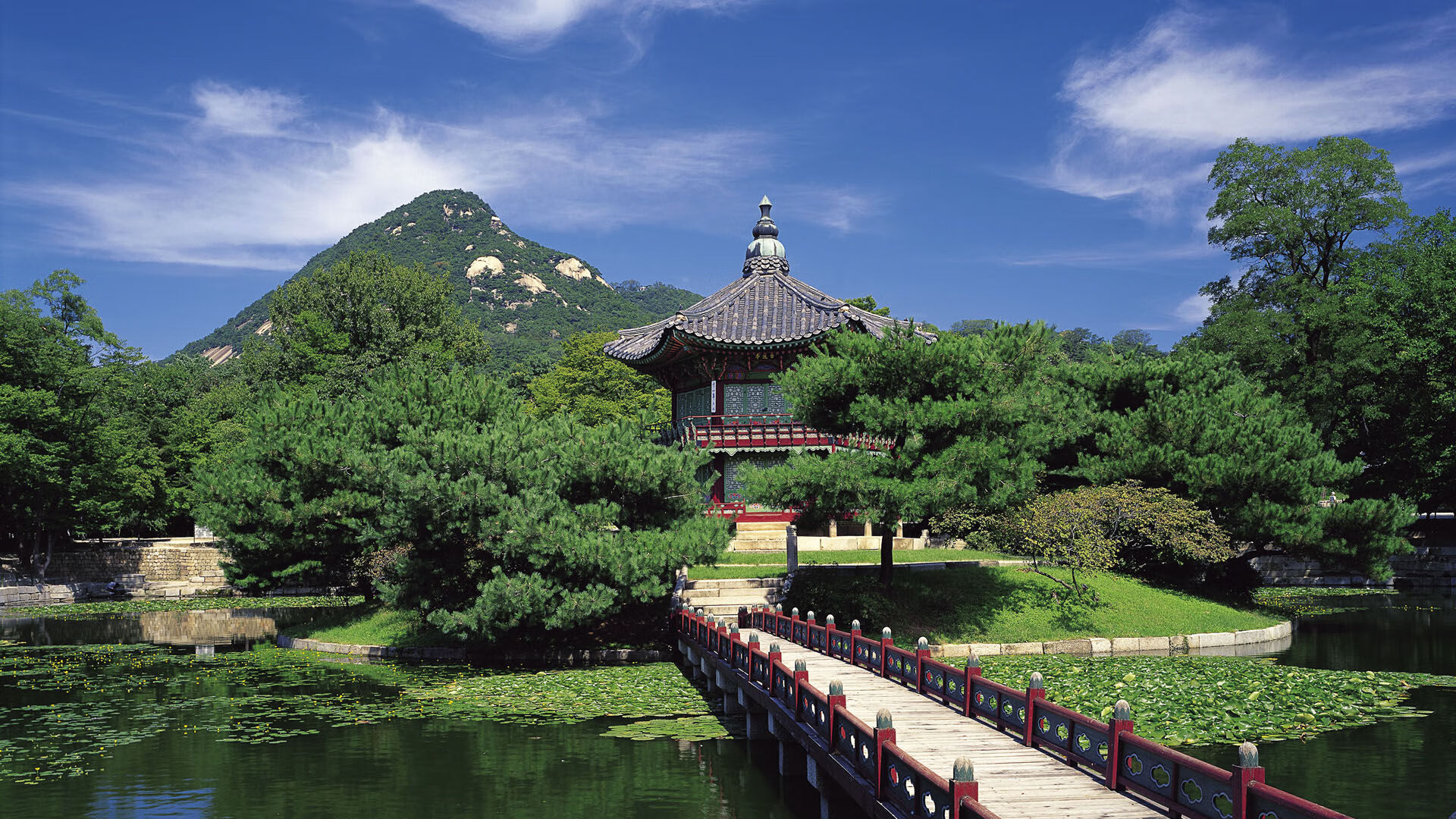 宁夏男篮不敌陕西，遭遇赛季告别，cba宁夏队