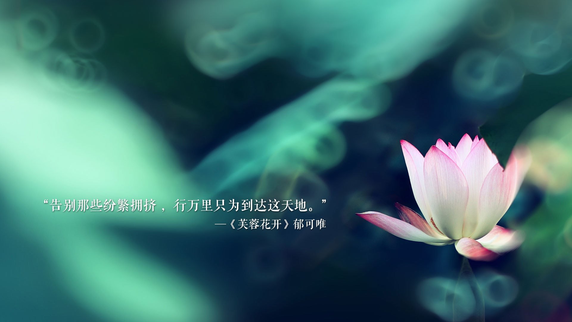 摩特迪弗客场不敌巴斯蒂亚，降级危机愈发严峻，迪摩f1