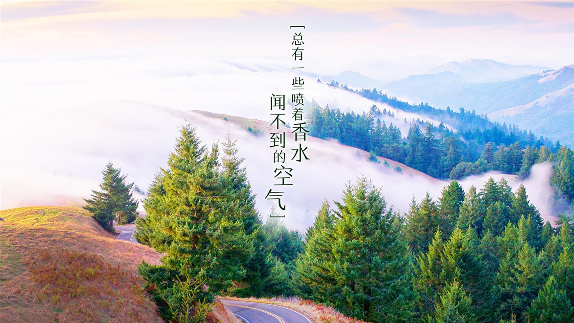 Jiu You-汉诺威胜利收官，德甲排名稳居中游，汉诺威是德国哪个洲
