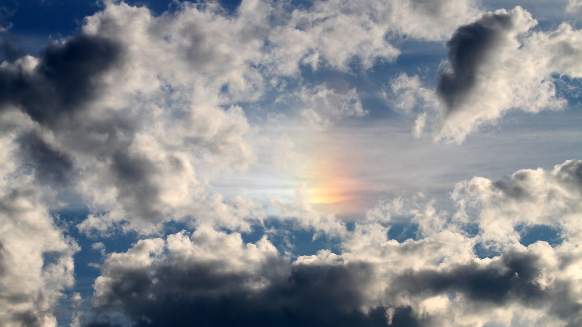 九游网页版官网入口-波尔曼突破能力出色，带动袋鼠队攻势全面升级